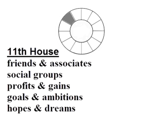 Definition of 11th House